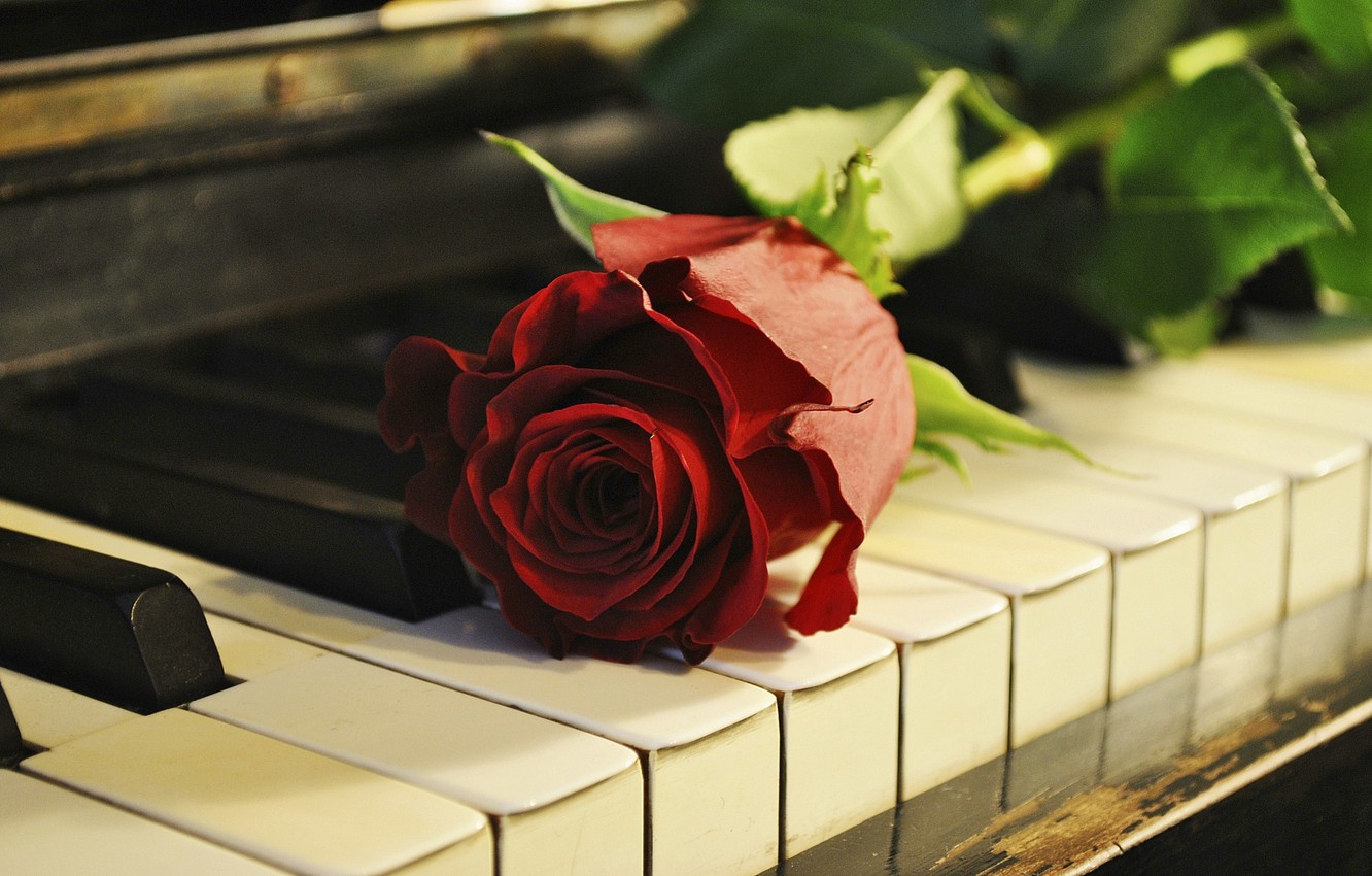 Piano Flowers Wallpapers