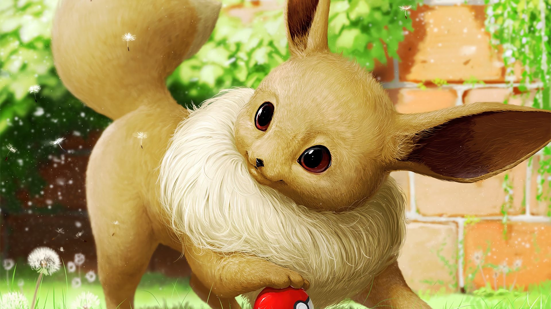 Pic Of Eevee Wallpapers