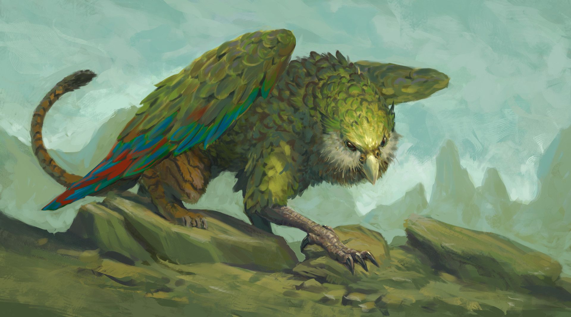 Pic Of Kakapo Wallpapers