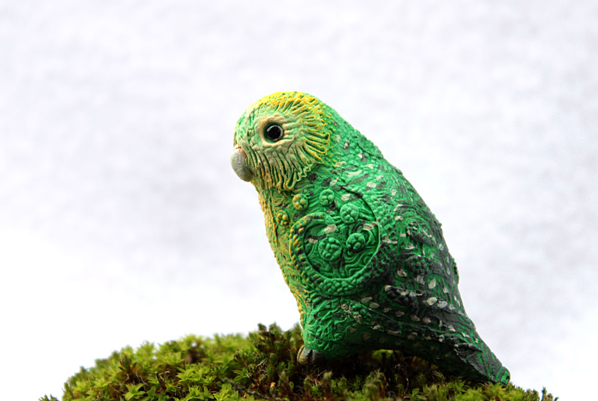 Pic Of Kakapo Wallpapers