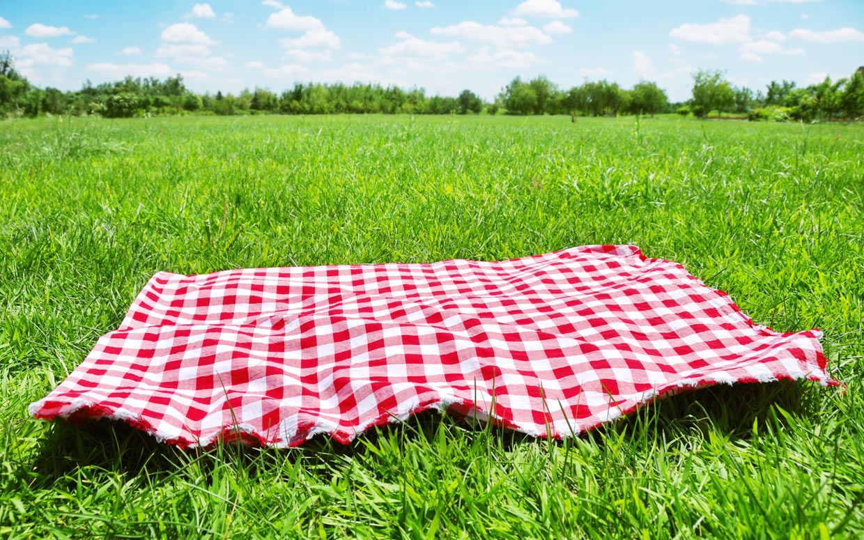 Picnic Wallpapers