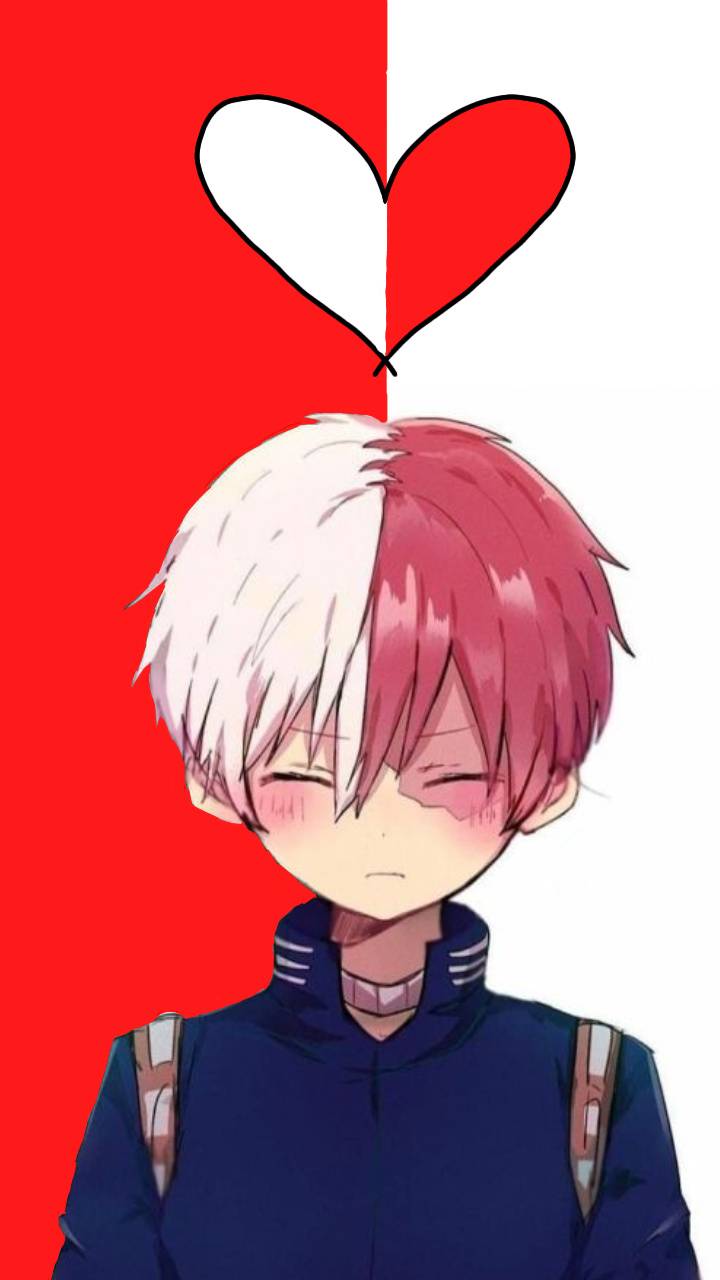 Pics Of Todoroki Wallpapers