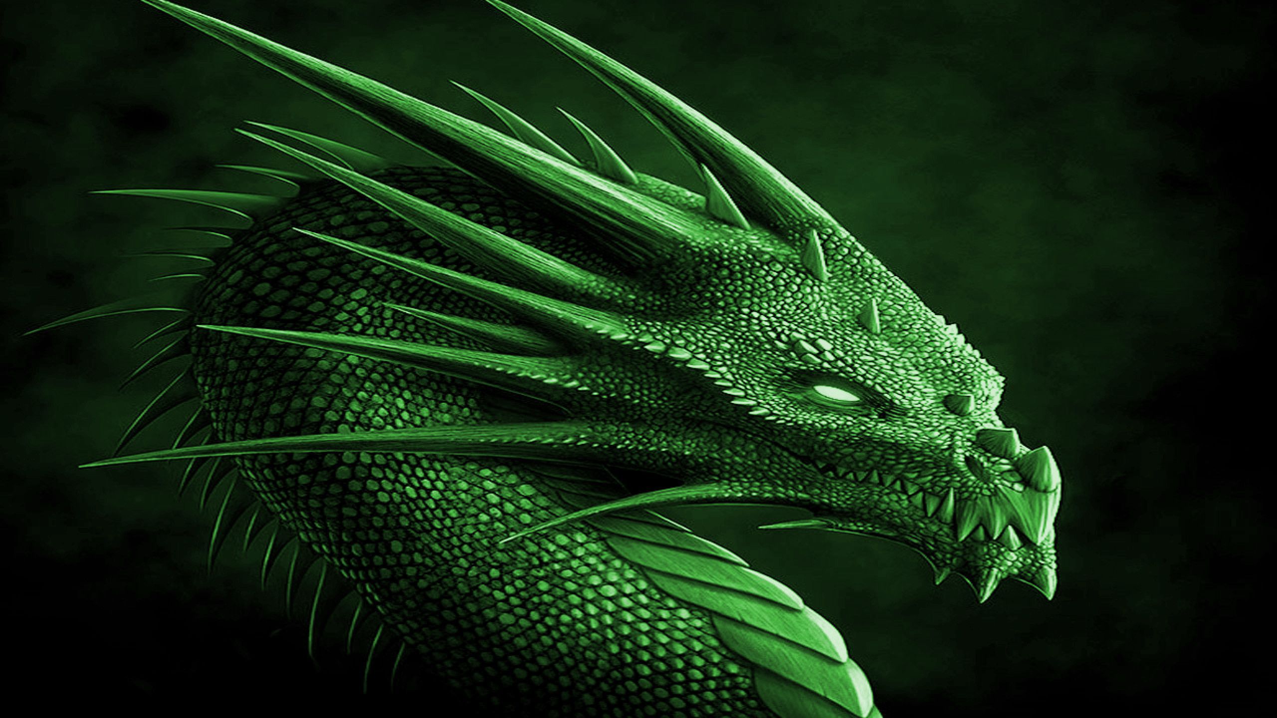 Pictures Of Green Dragons Wallpapers