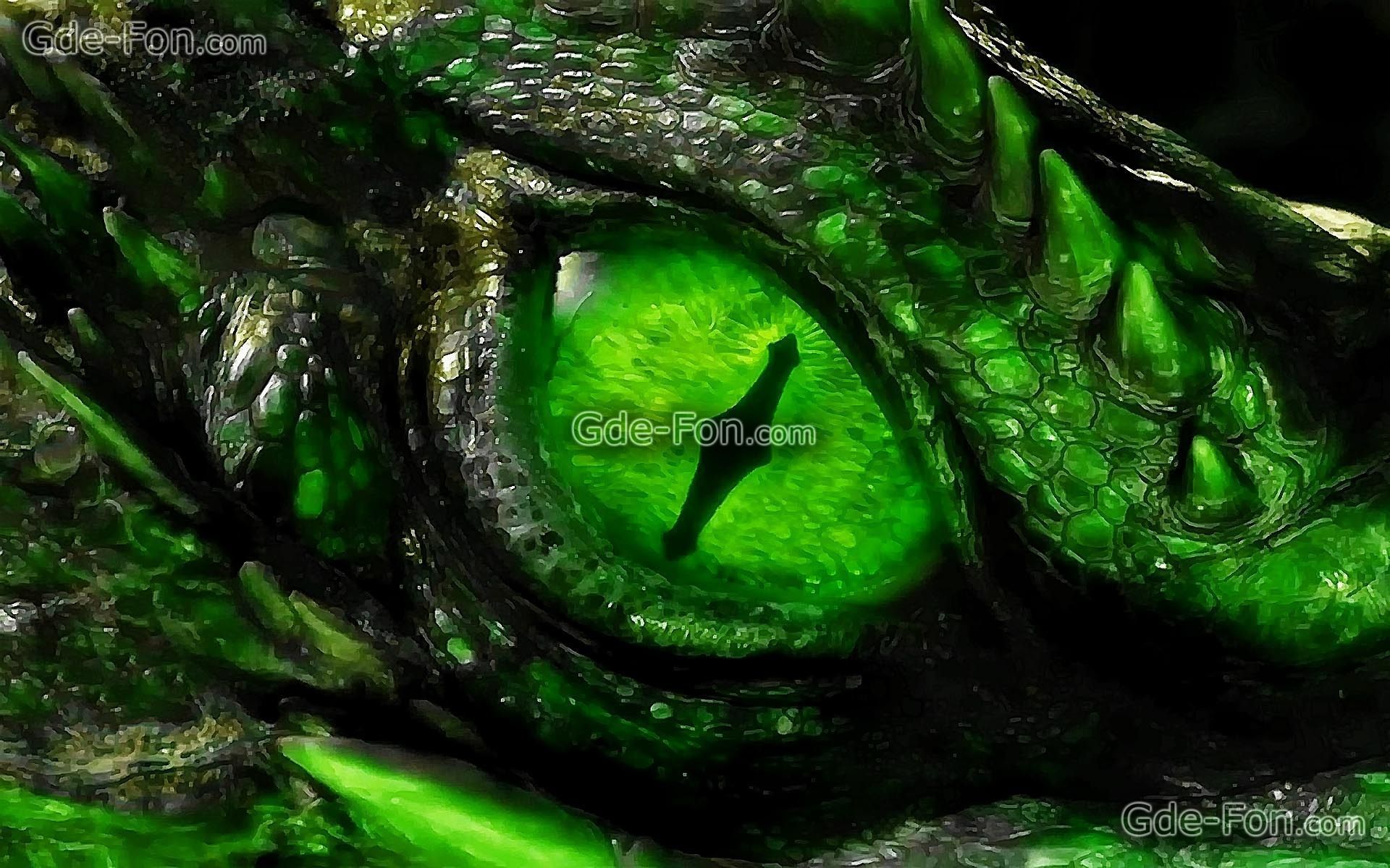 Pictures Of Green Dragons Wallpapers