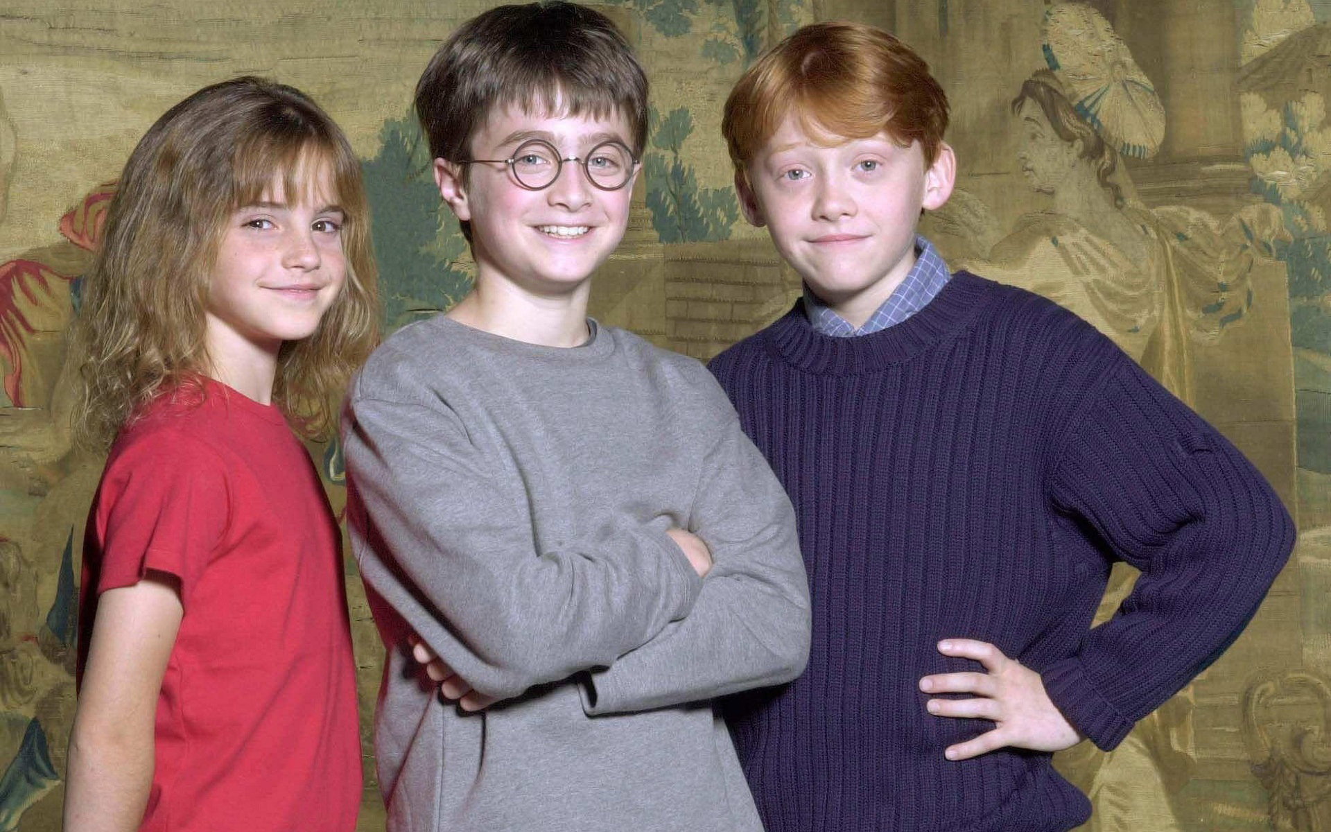 Pictures Of Harry Potter And His Friends Wallpapers