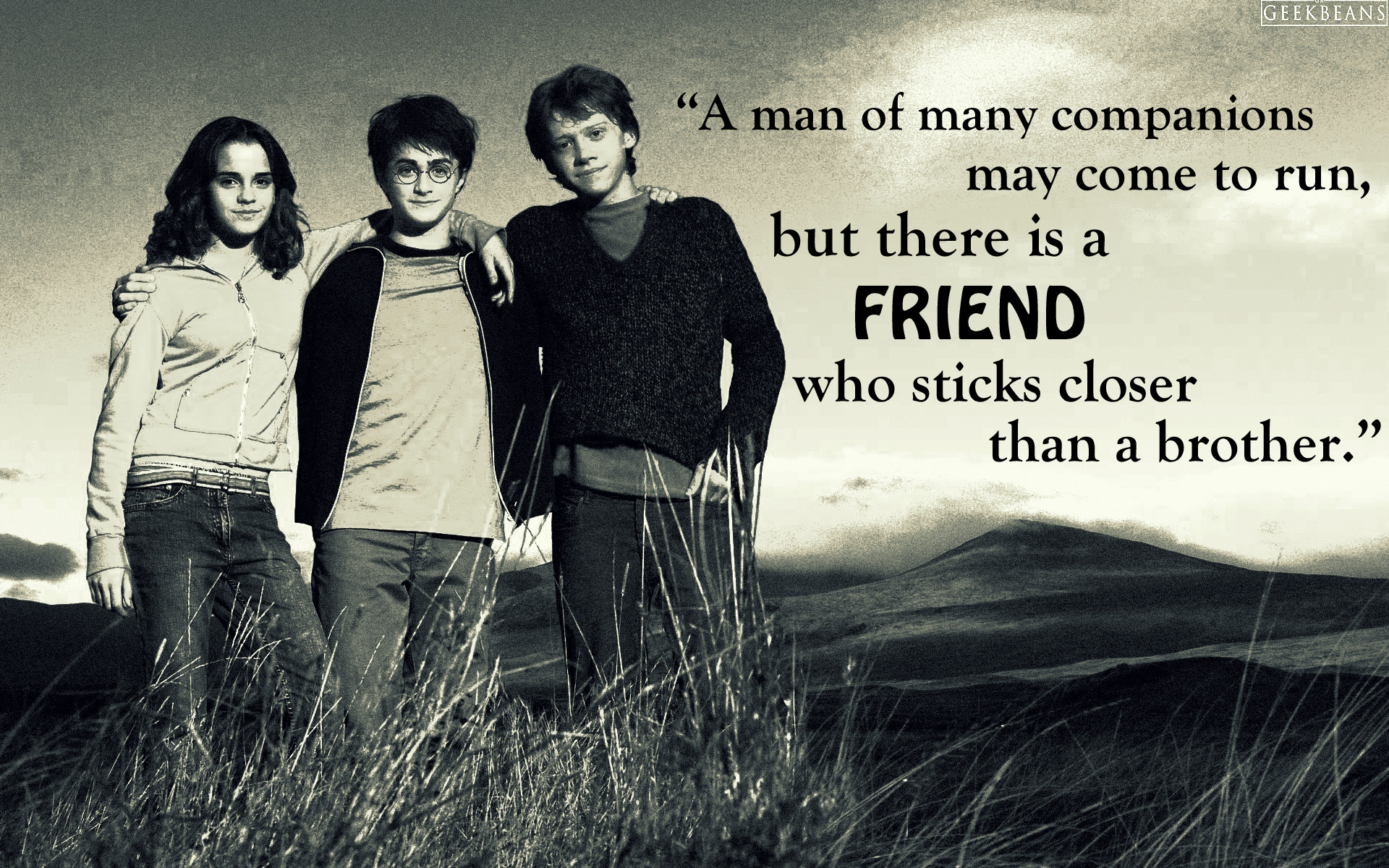 Pictures Of Harry Potter And His Friends Wallpapers