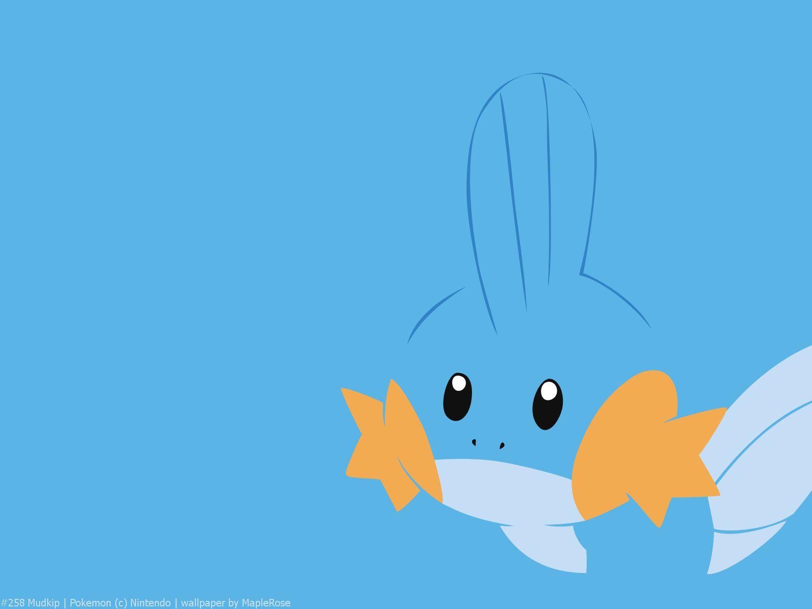 Pictures Of Mudkip Wallpapers