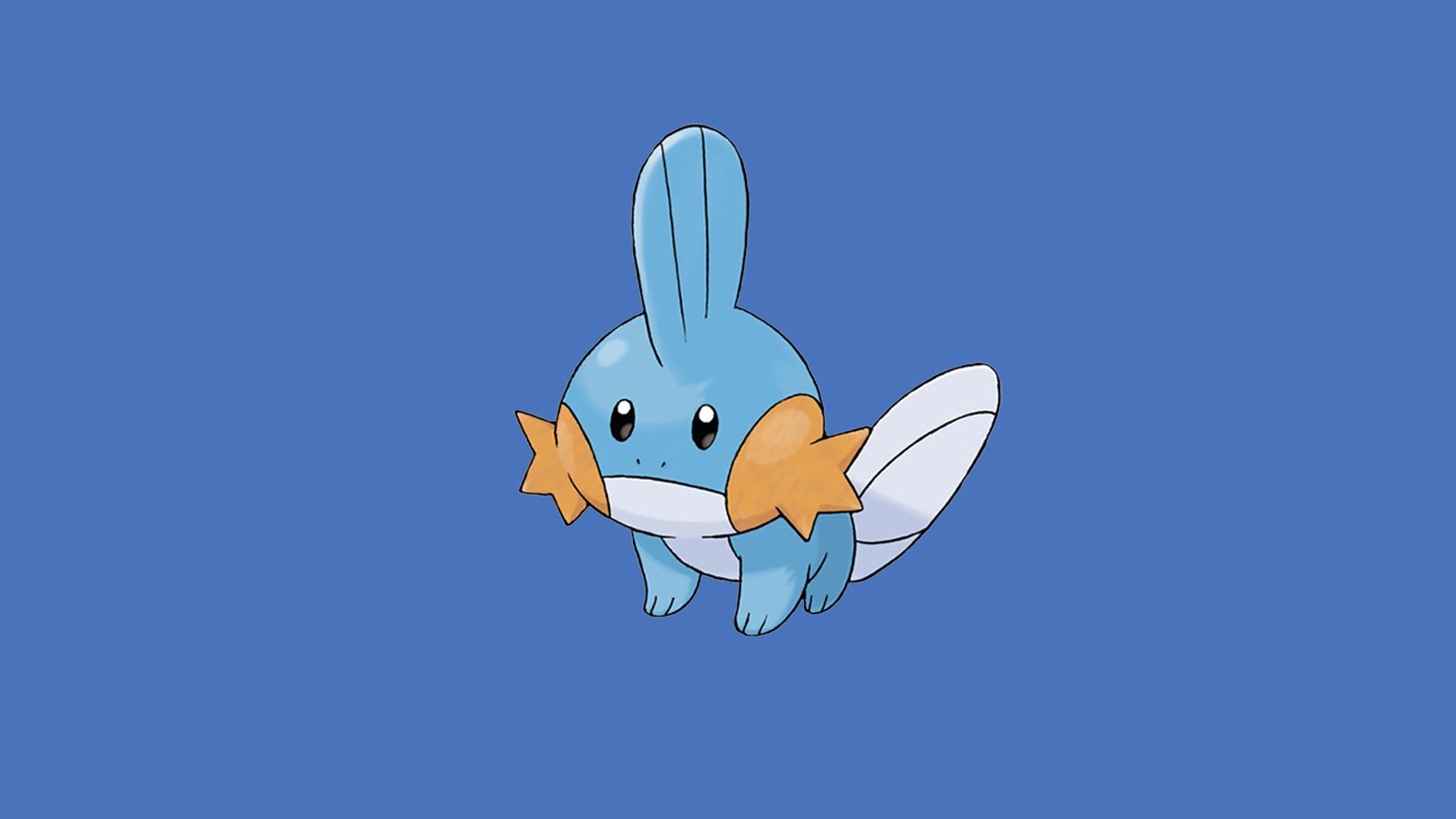 Pictures Of Mudkip Wallpapers