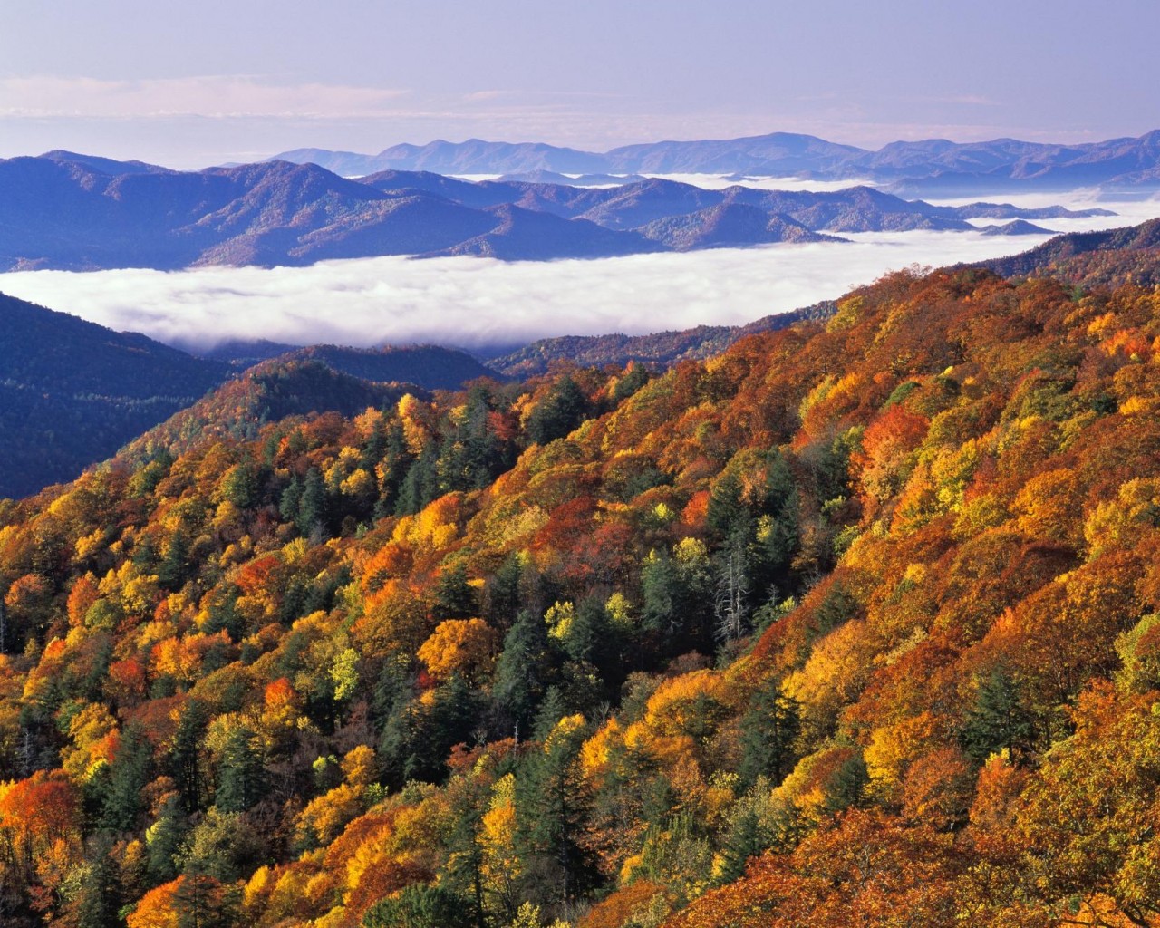 Pictures Of North Carolina Mountains Wallpapers