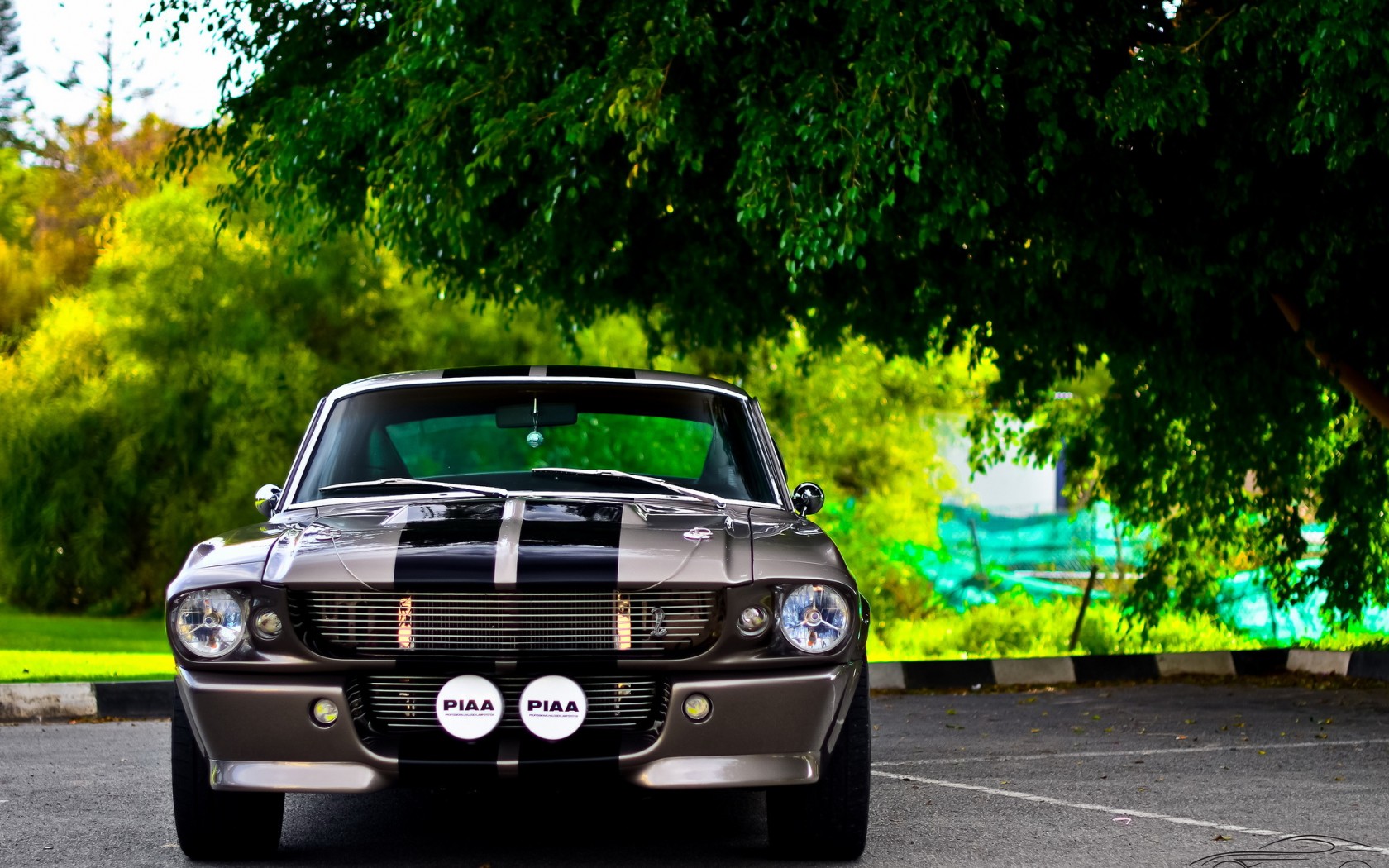 Pictures Of Old Muscle Cars Wallpapers