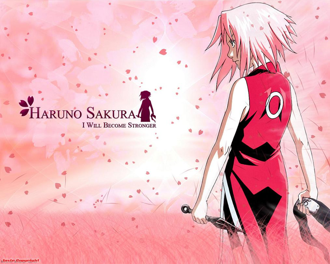 Pictures Of Sasuke And Sakura Wallpapers