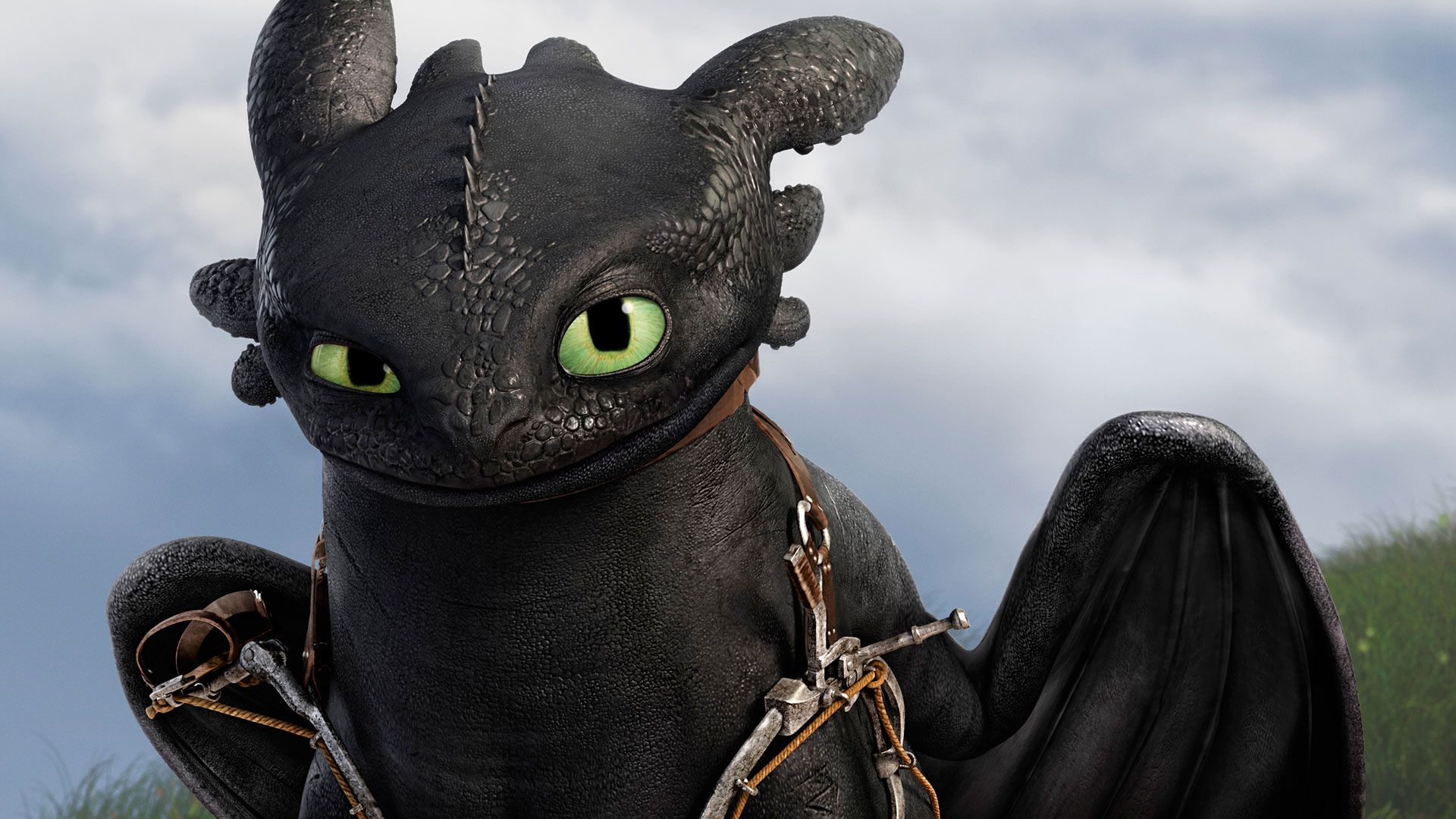 Pictures Of Toothless The Dragon Wallpapers