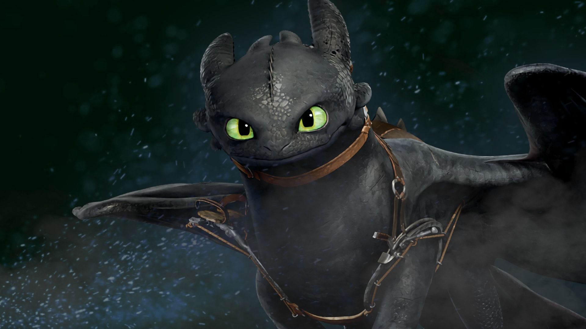 Pictures Of Toothless The Dragon Wallpapers