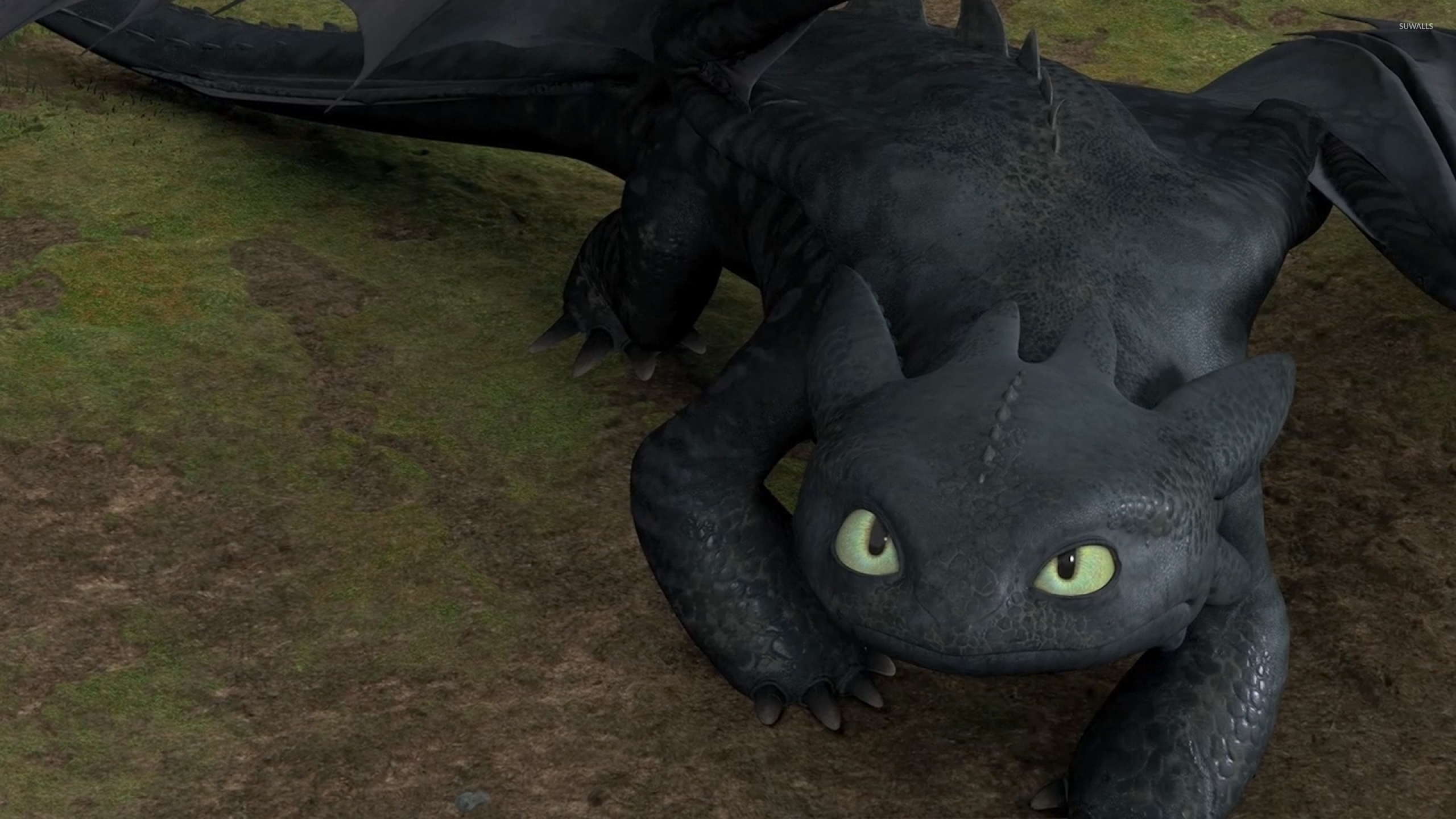 Pictures Of Toothless The Dragon Wallpapers