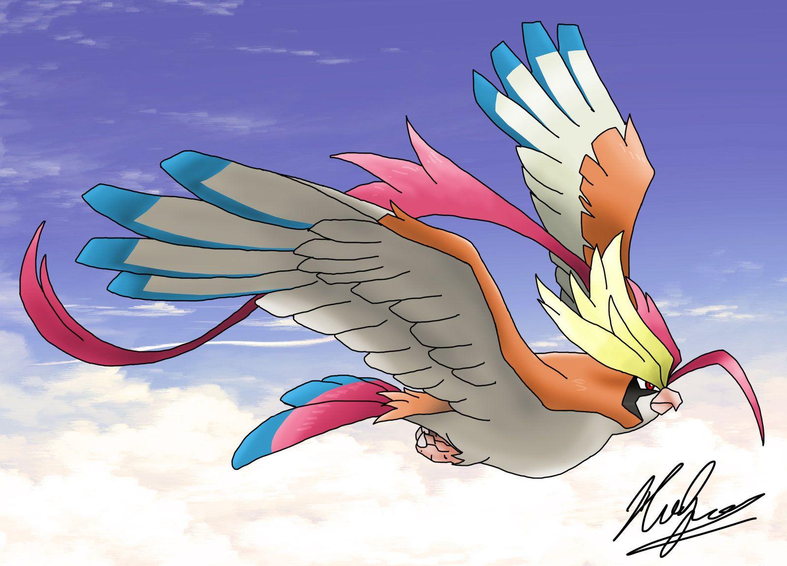 Pidgeot Hd Wallpapers