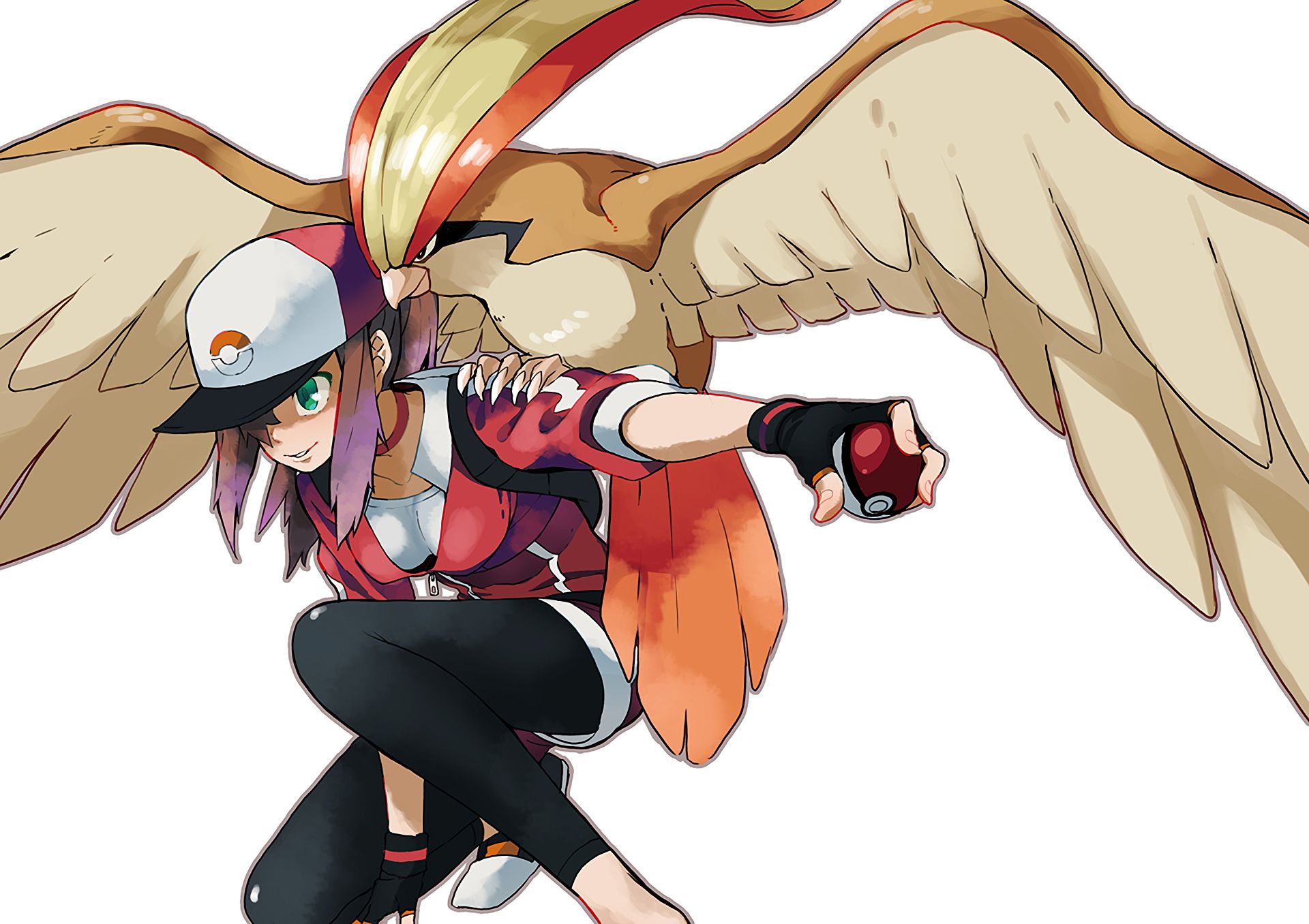 Pidgeot Hd Wallpapers