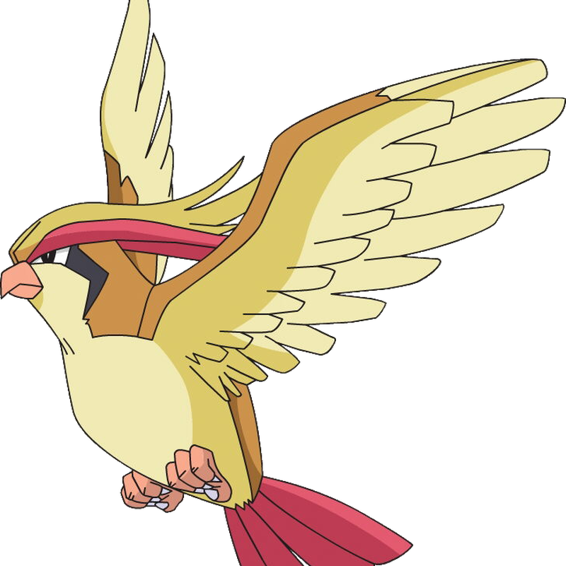 Pidgeotto Hd Wallpapers