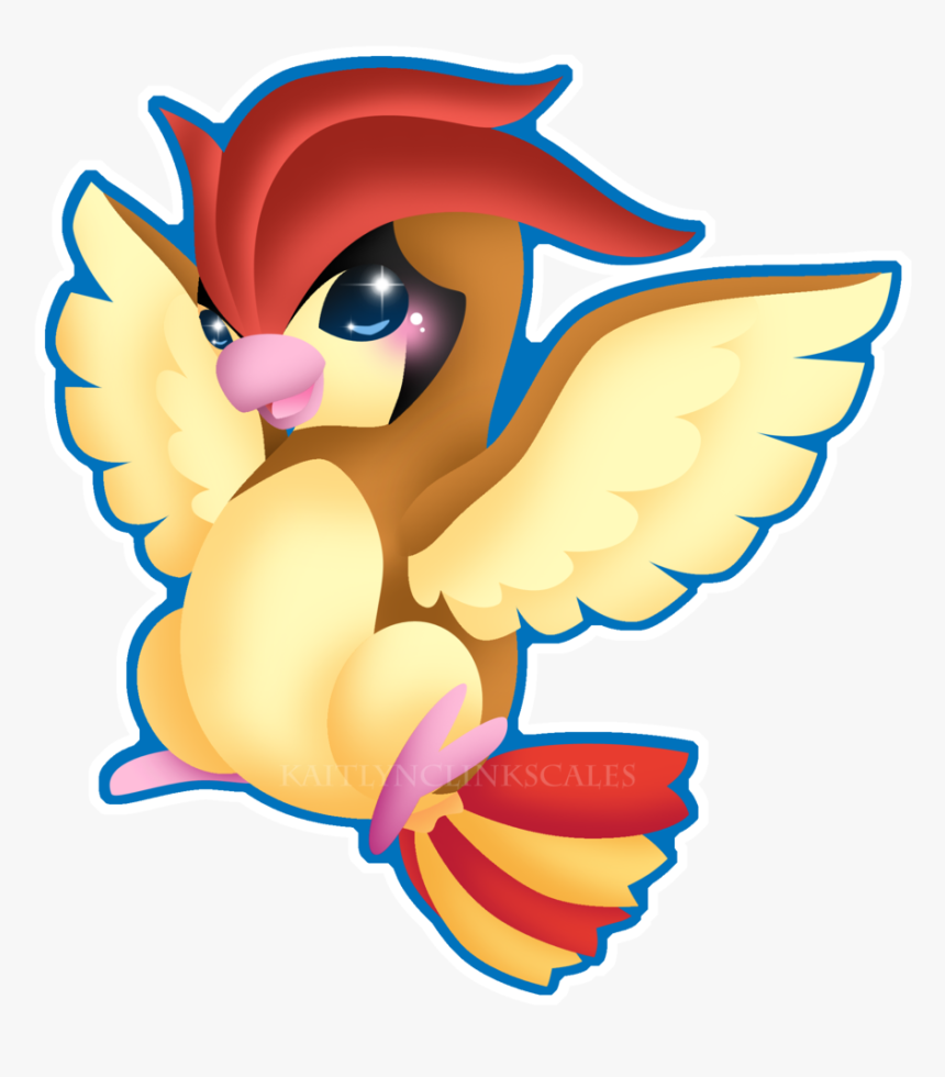 Pidgeotto Hd Wallpapers