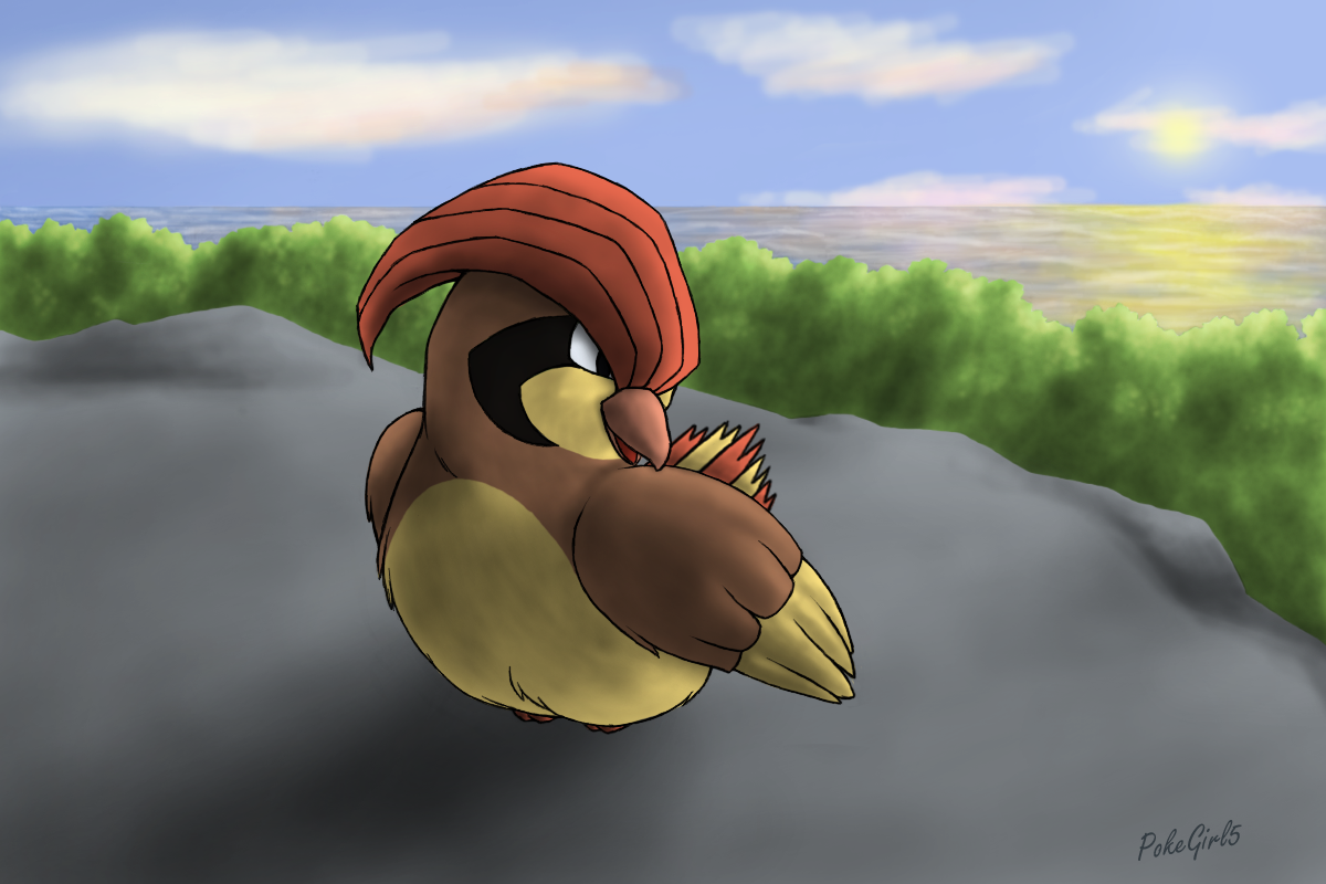 Pidgeotto Hd Wallpapers