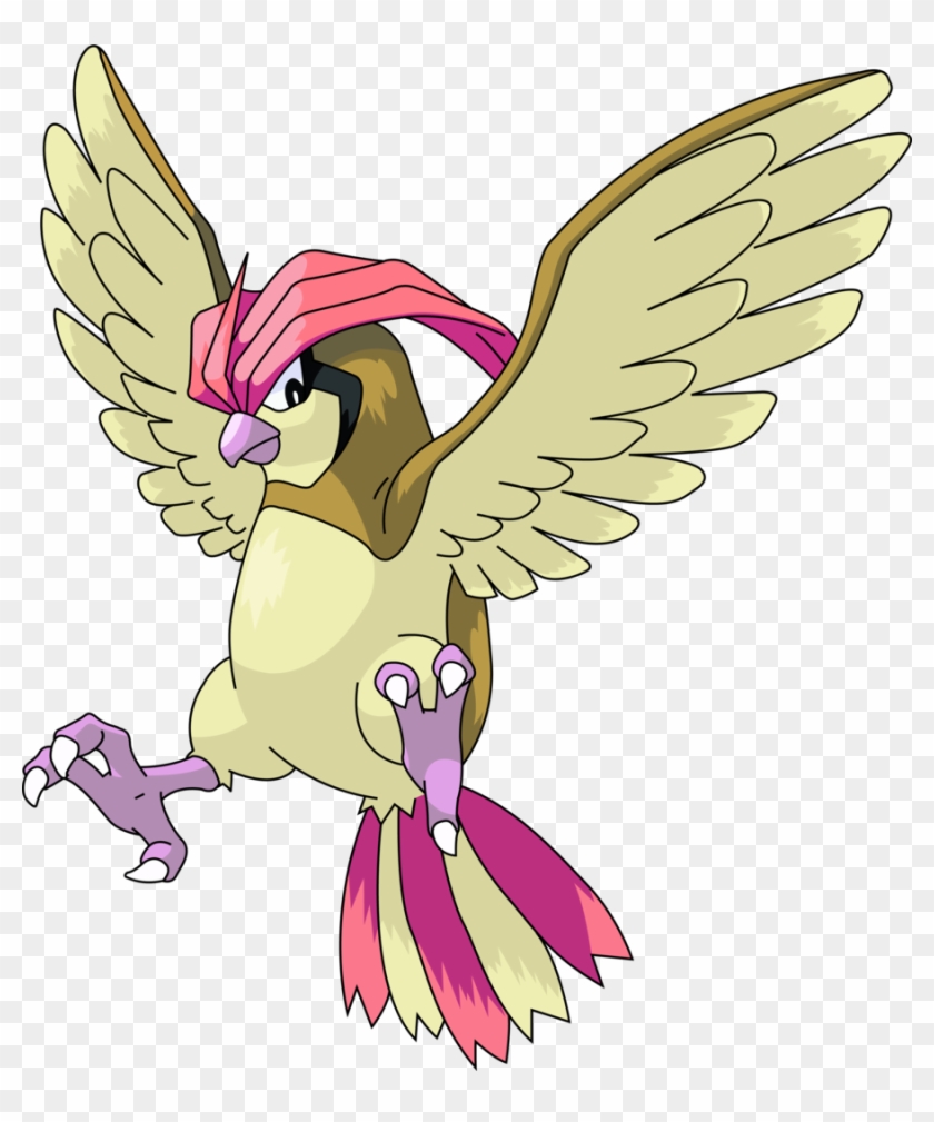 Pidgeotto Hd Wallpapers