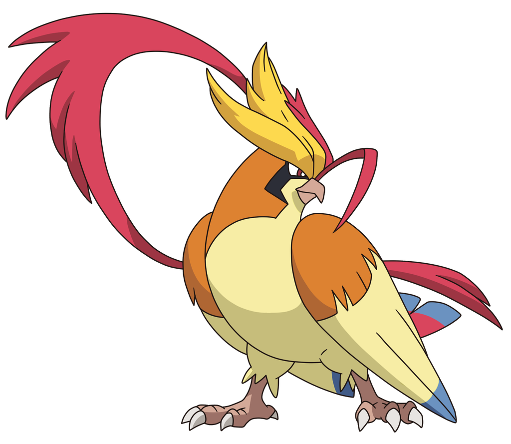 Pidgeotto Hd Wallpapers