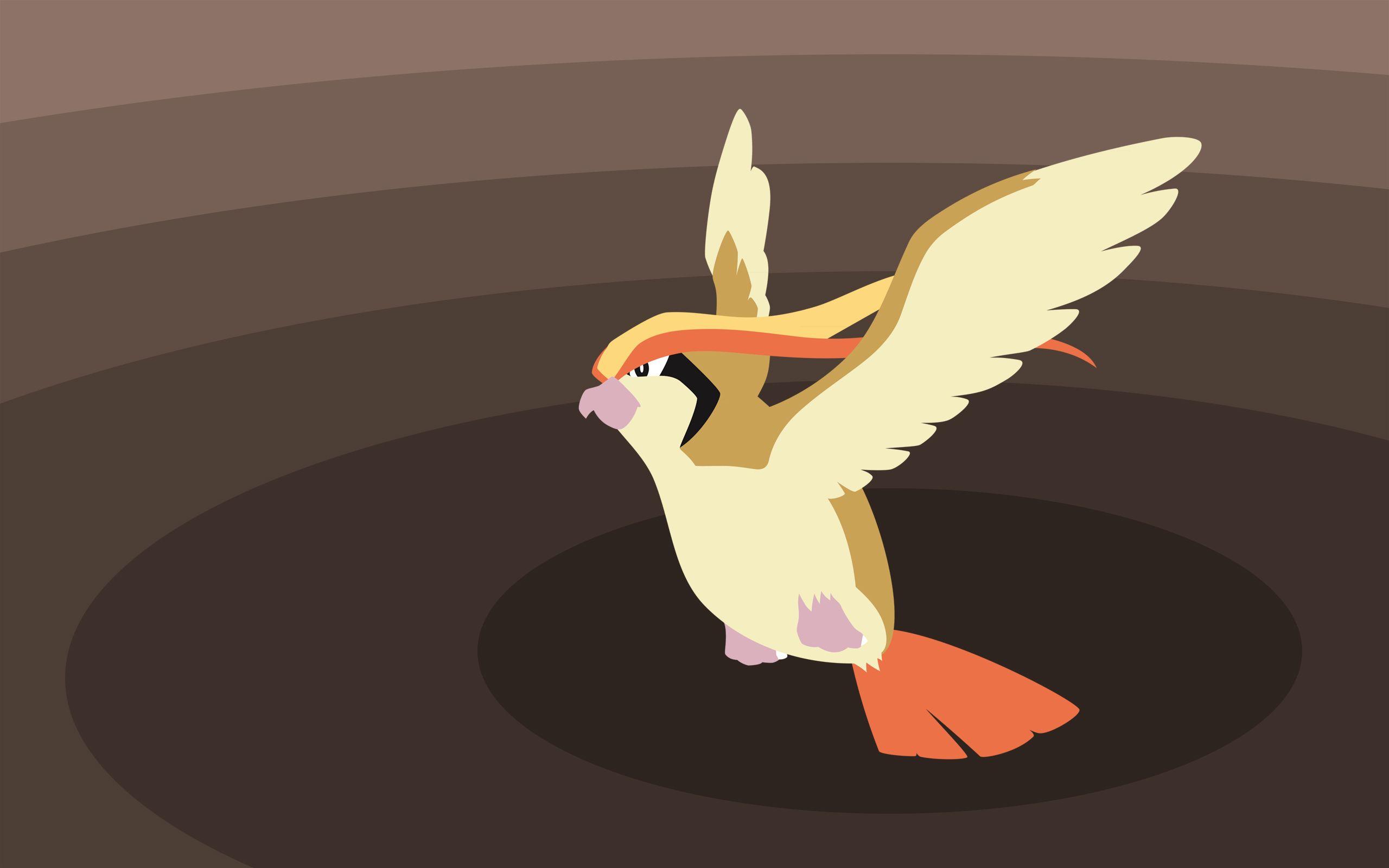 Pidgeotto Hd Wallpapers