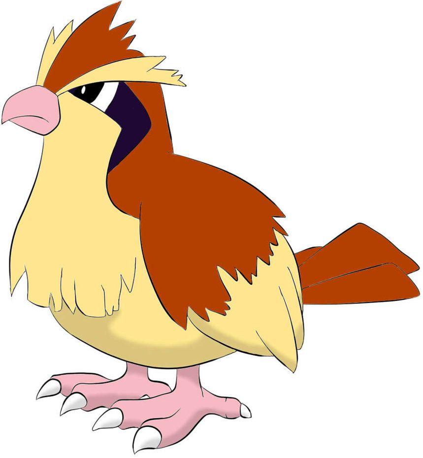 Pidgey Hd Wallpapers