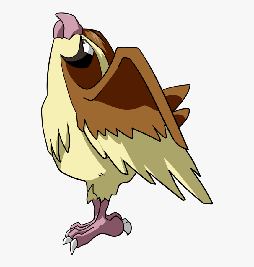 Pidgey Hd Wallpapers