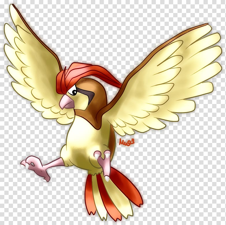 Pidgey Hd Wallpapers