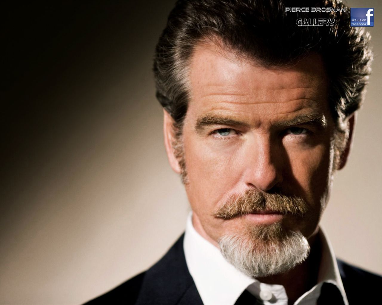 Pierce Brosnan Wallpapers