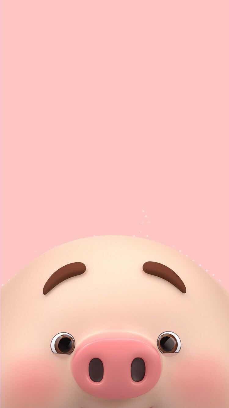 Pig Iphone Wallpapers