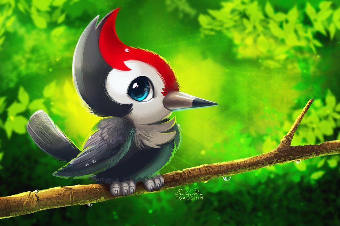 Pikipek Hd Wallpapers