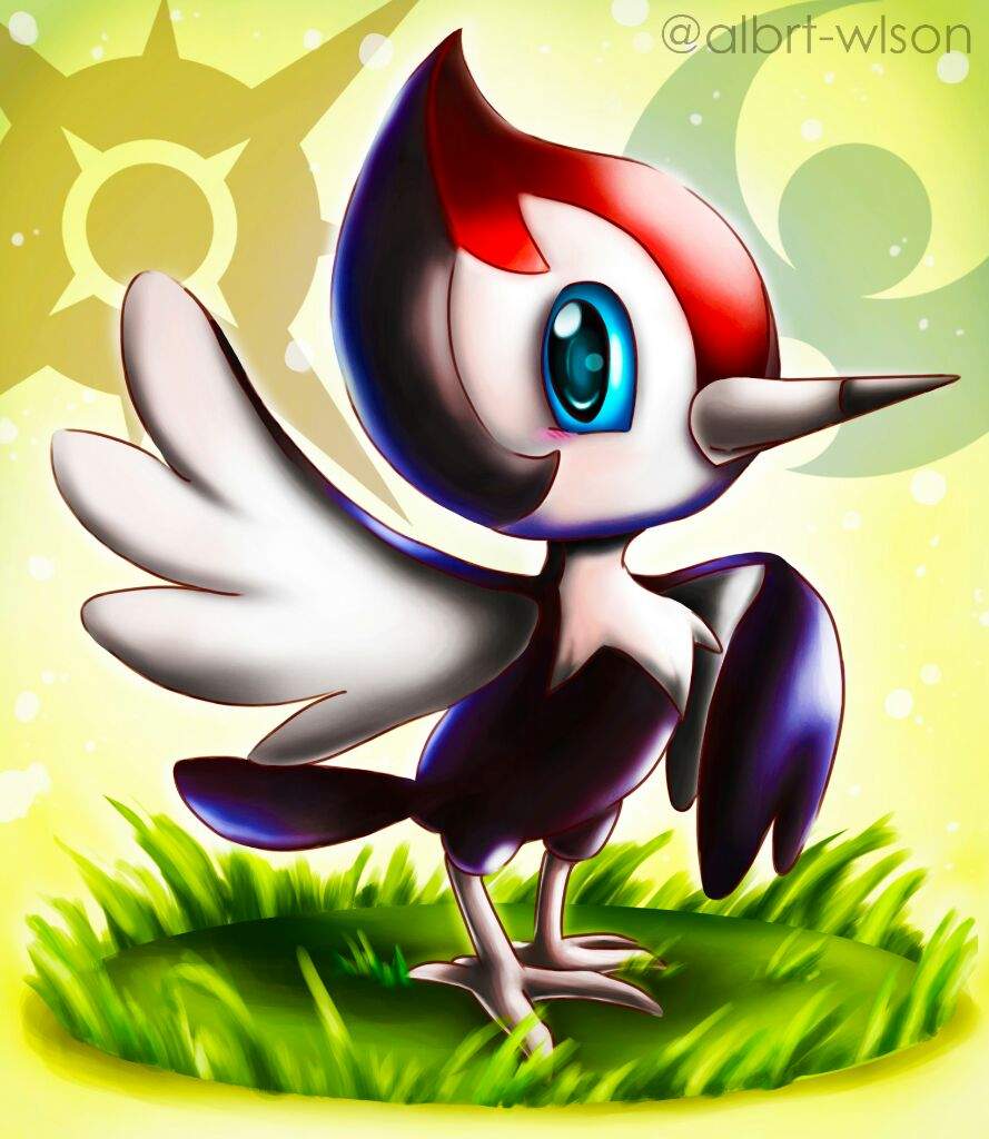 Pikipek Hd Wallpapers