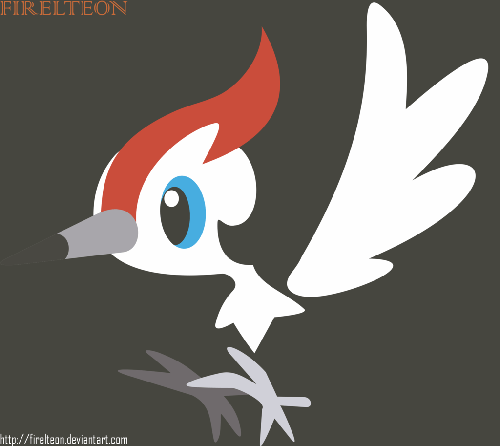 Pikipek Hd Wallpapers