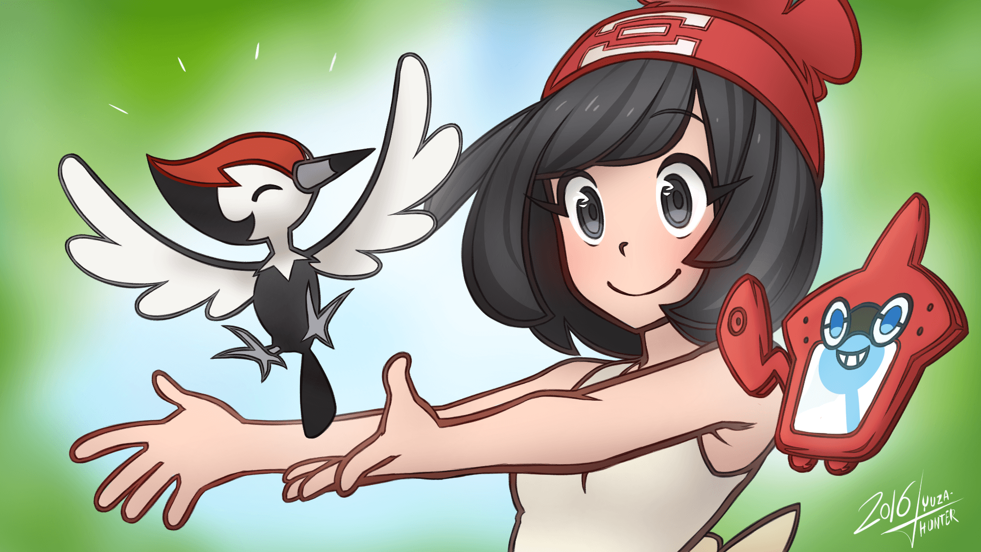 Pikipek Hd Wallpapers