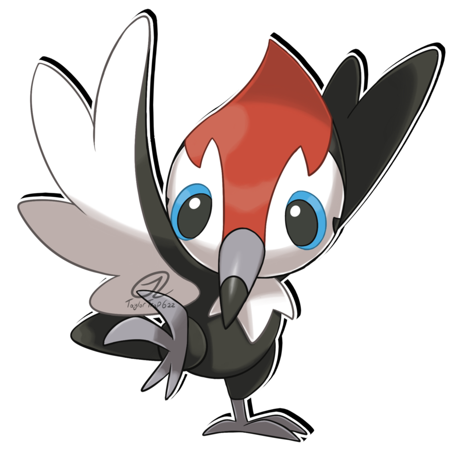 Pikipek Hd Wallpapers