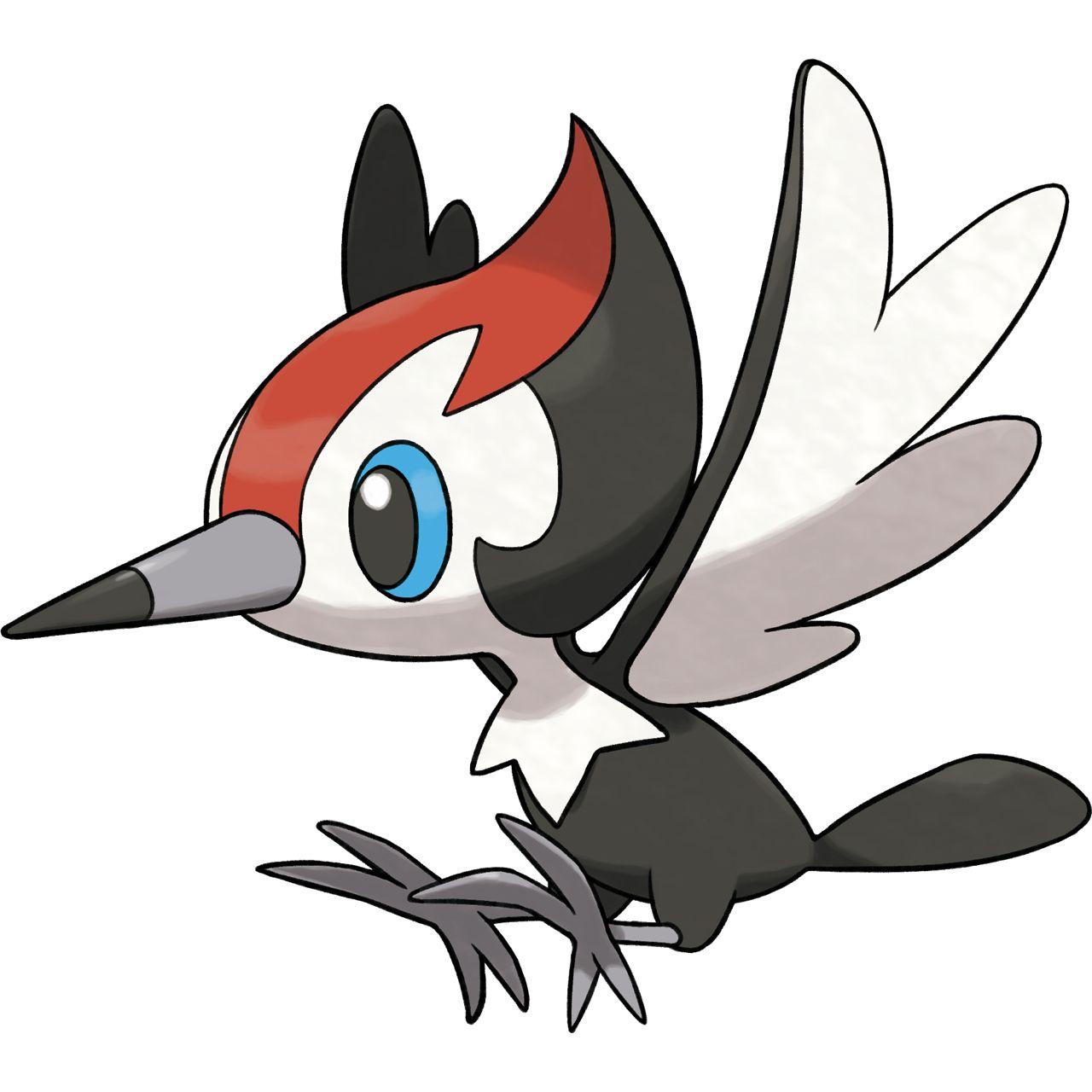 Pikipek Hd Wallpapers