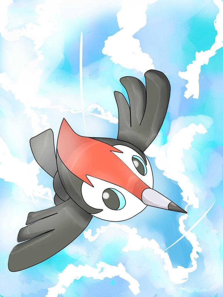 Pikipek Hd Wallpapers