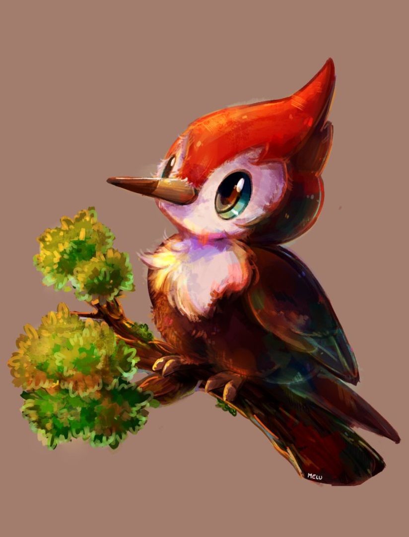 Pikipek Hd Wallpapers