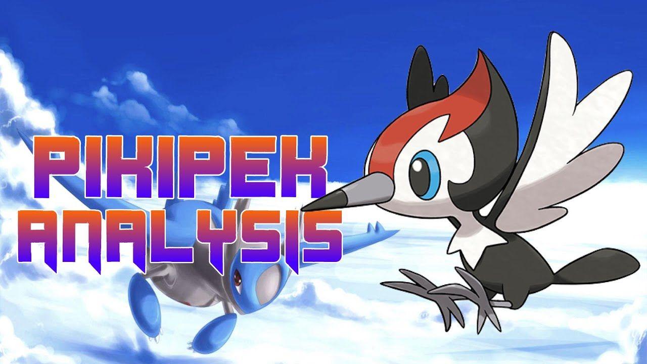 Pikipek Hd Wallpapers