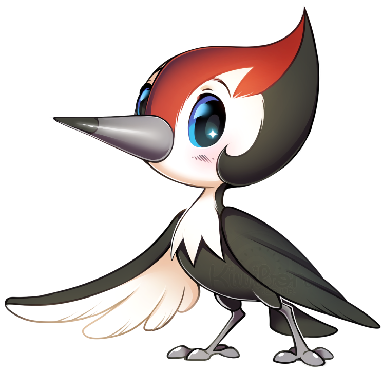 Pikipek Hd Wallpapers