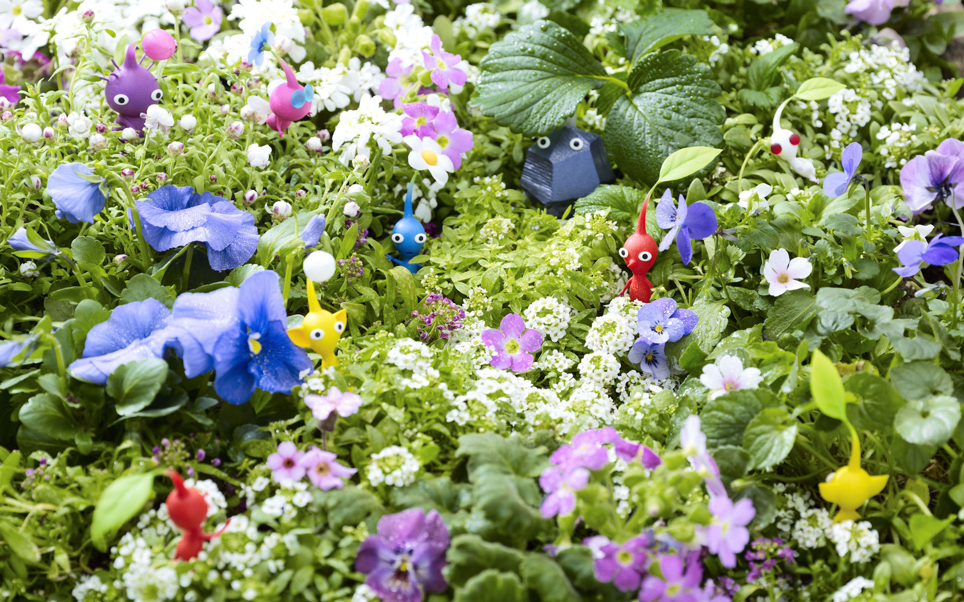 Pikmin Wallpapers