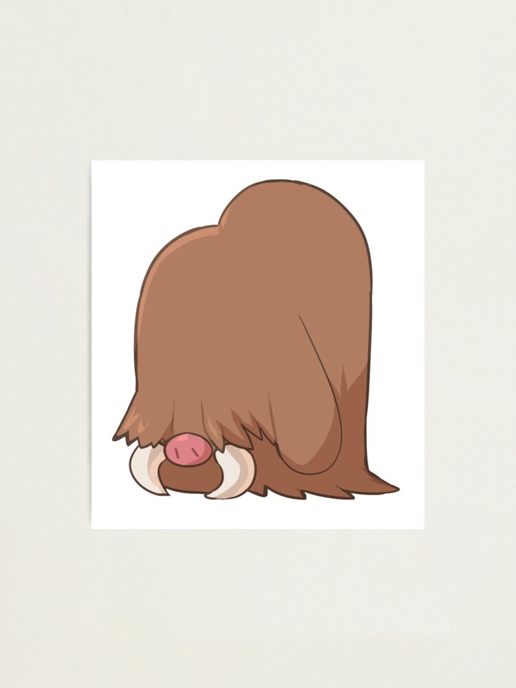 Piloswine Hd Wallpapers