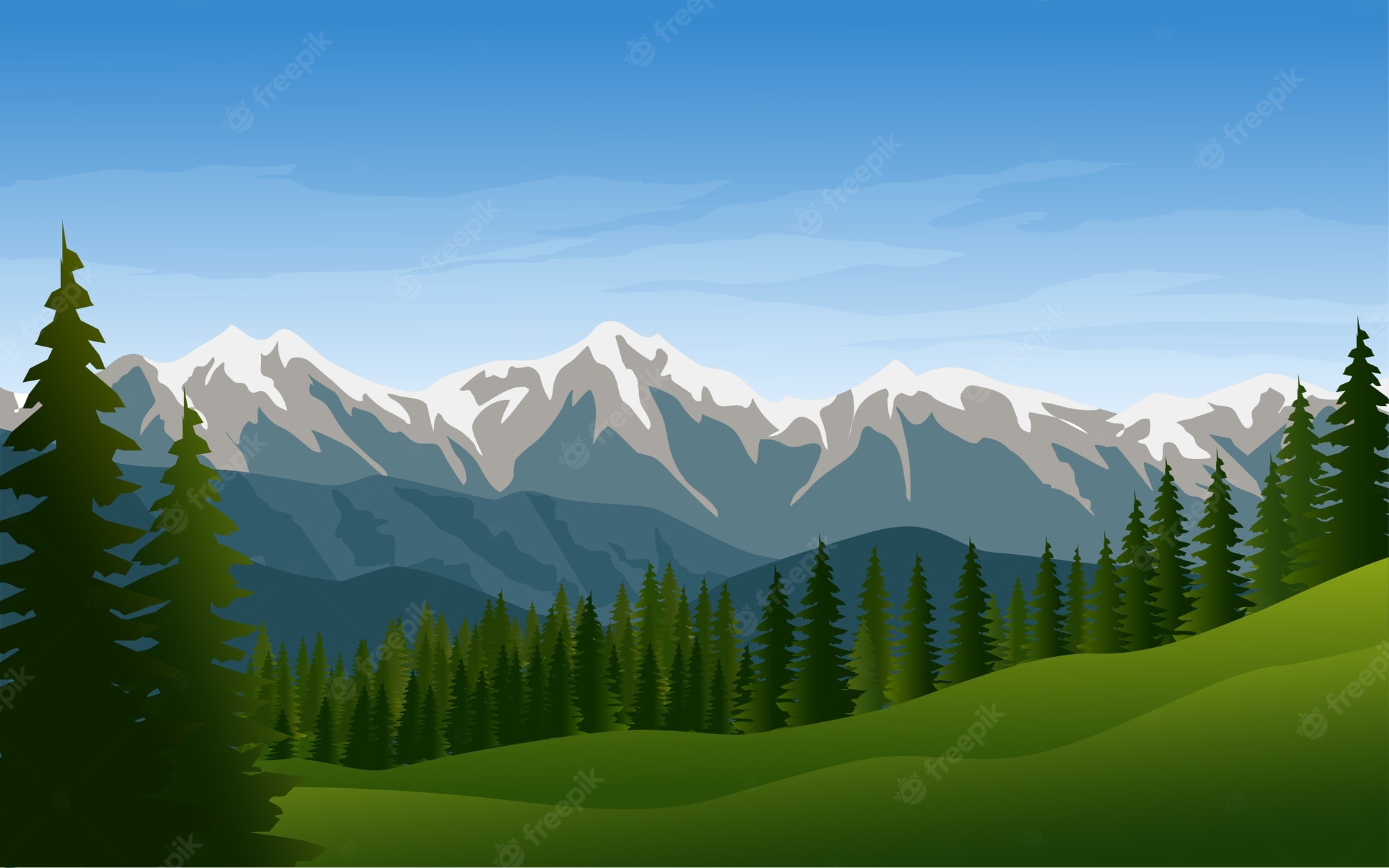 Pine Forest Background