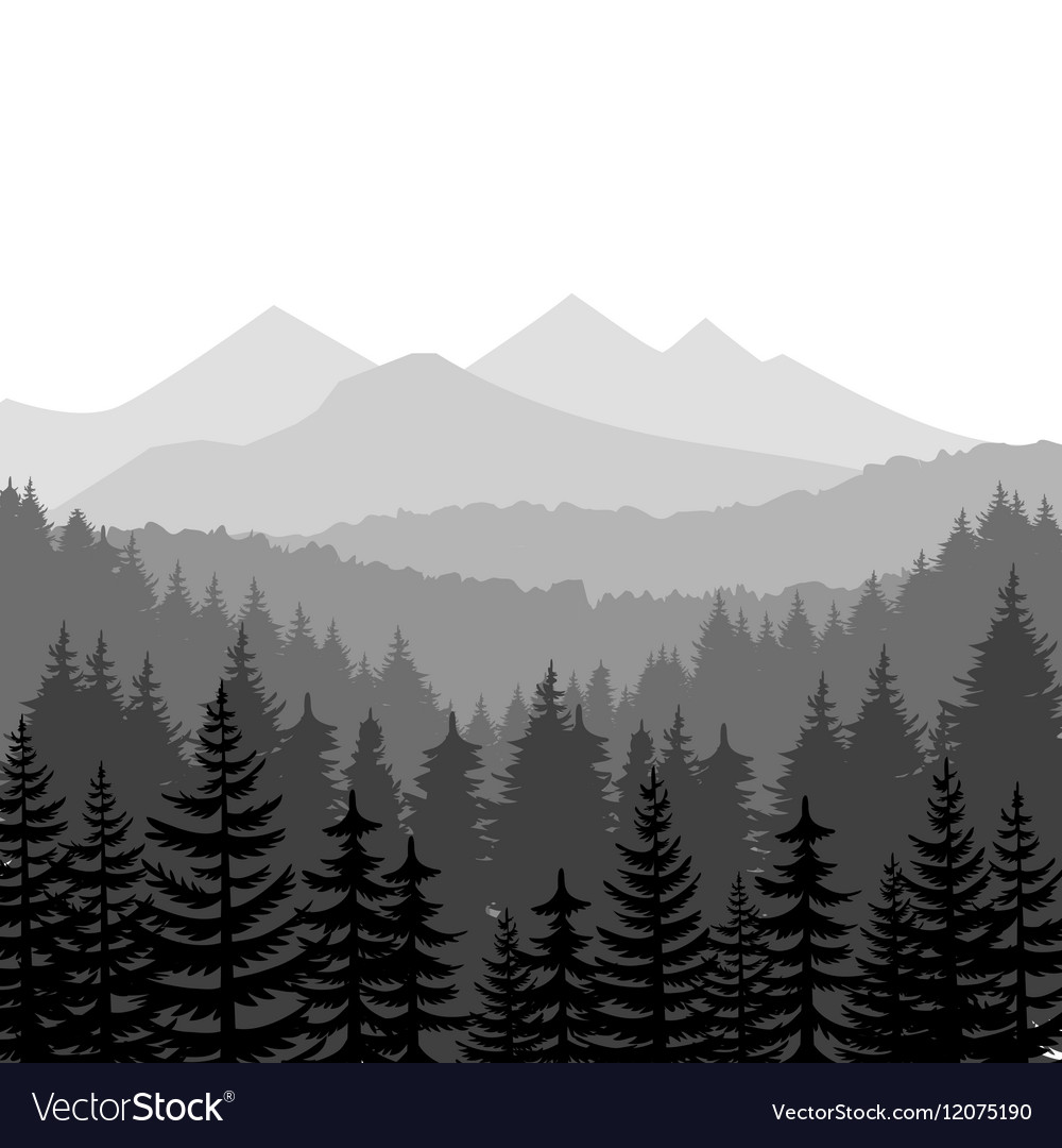 Pine Forest Background