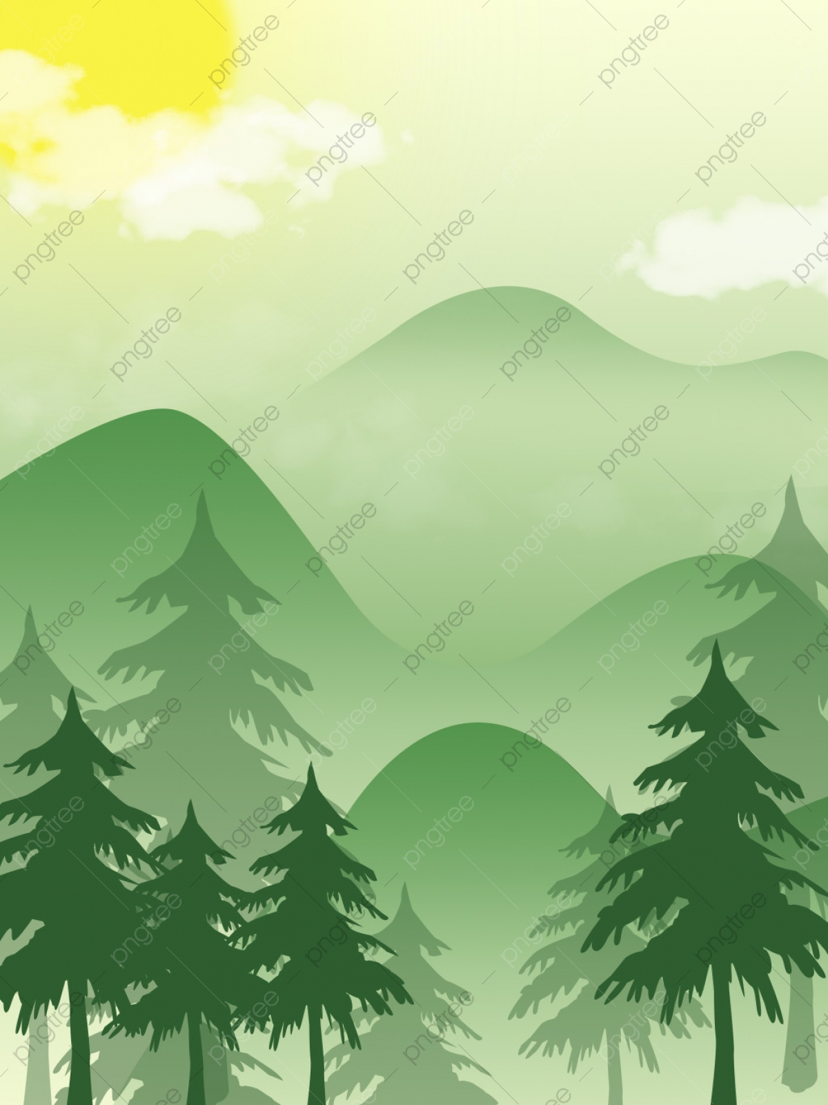 Pine Forest Background