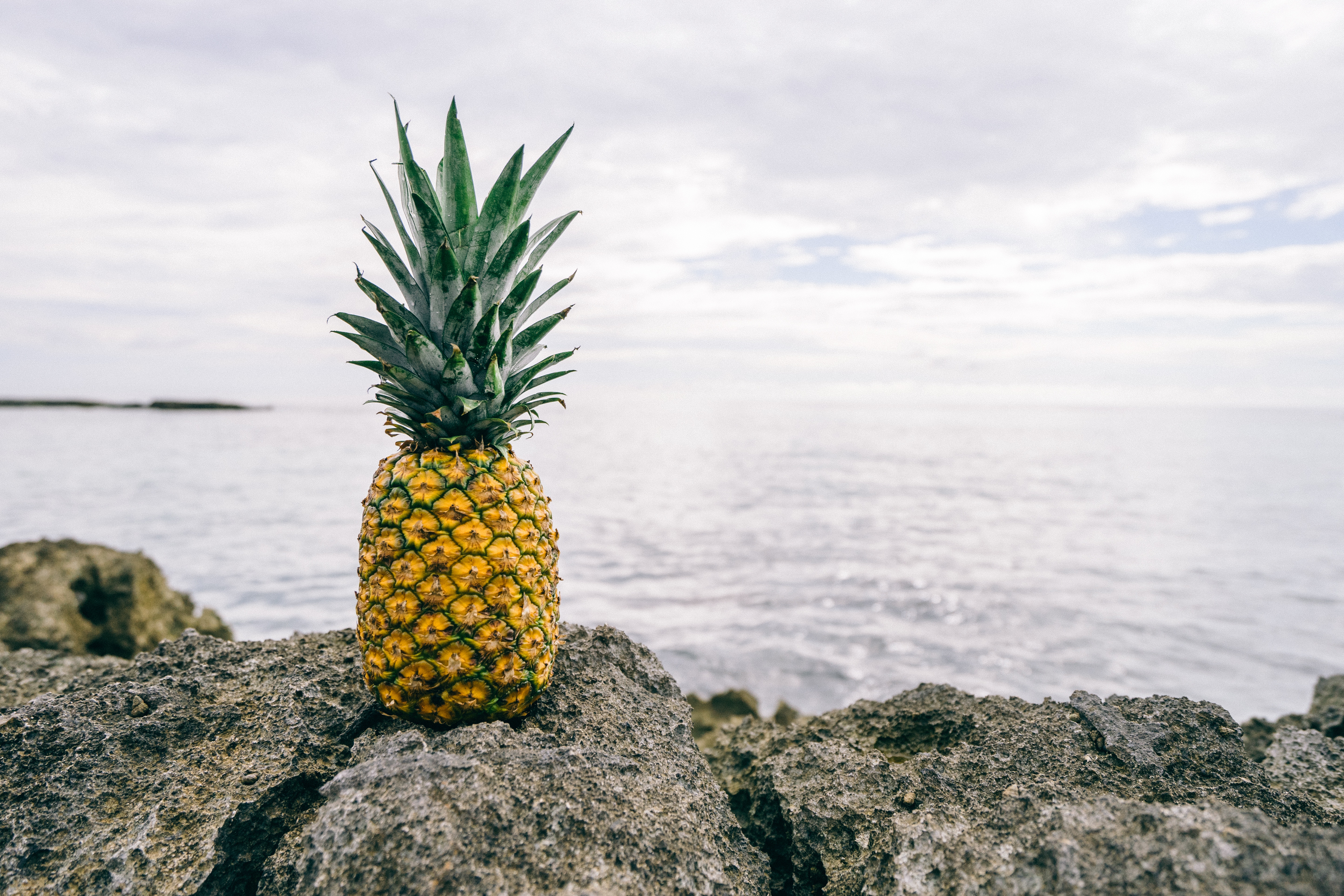 Pineapple Background