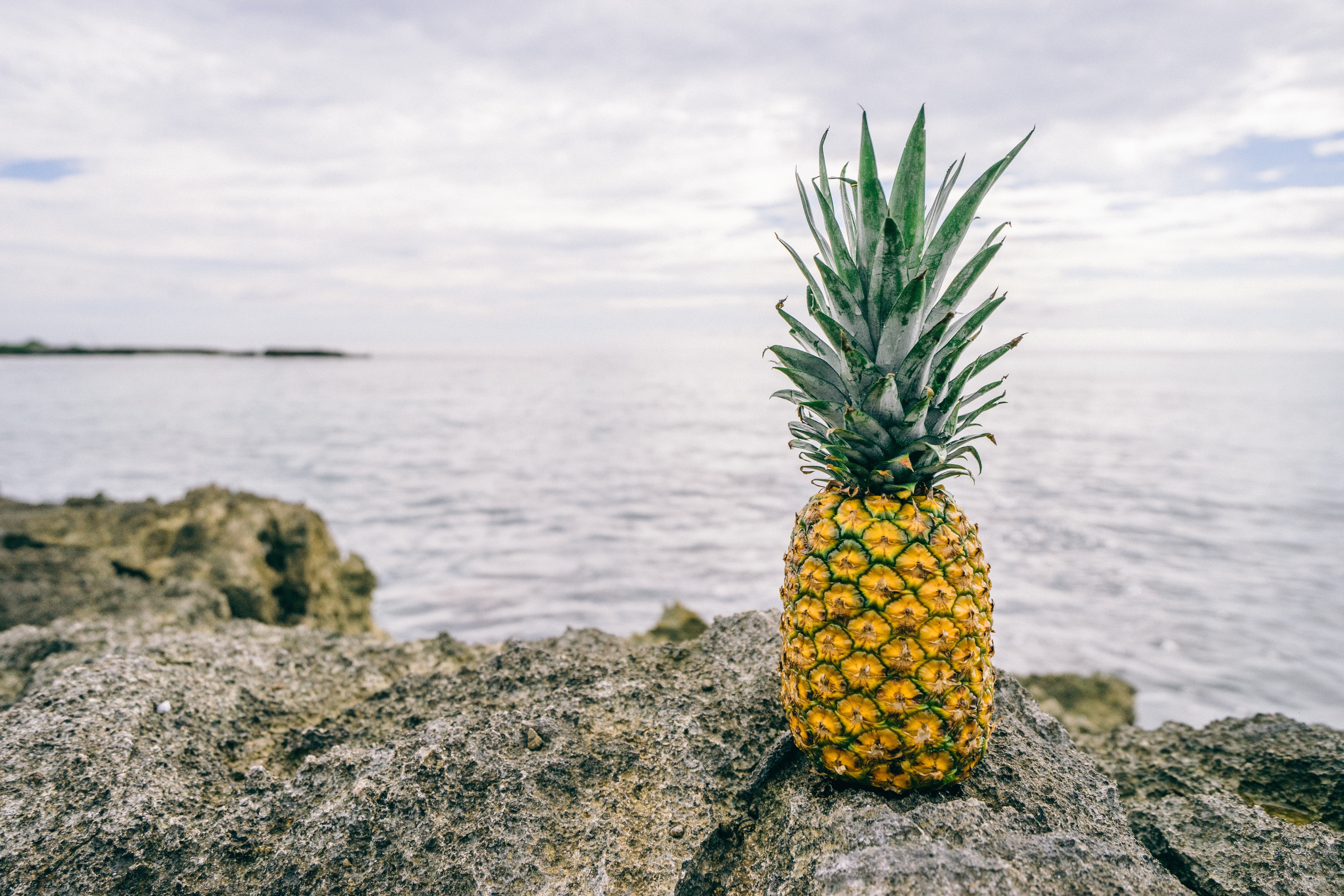 Pineapple Hd Wallpapers