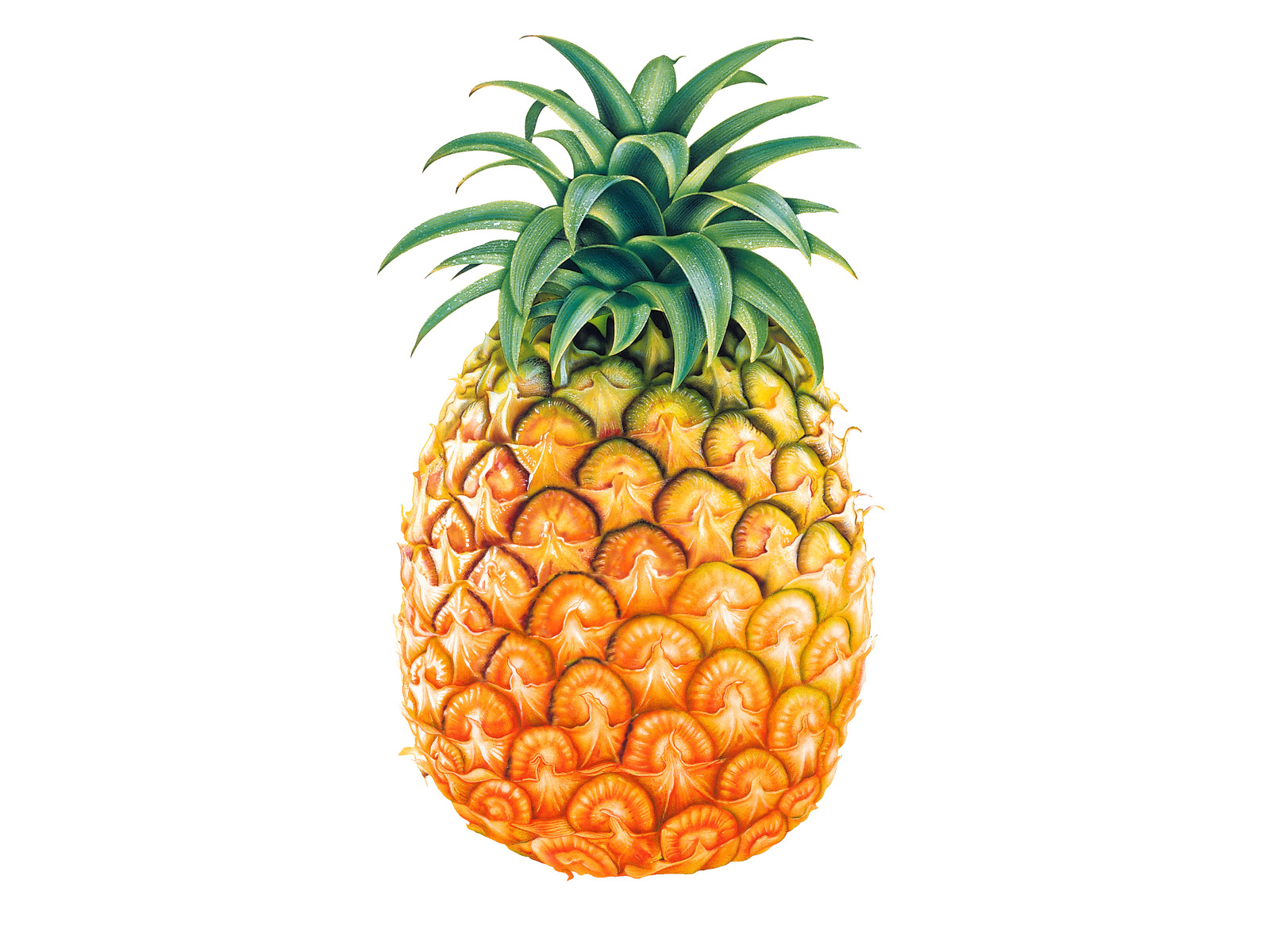 Pineapple Hd Wallpapers