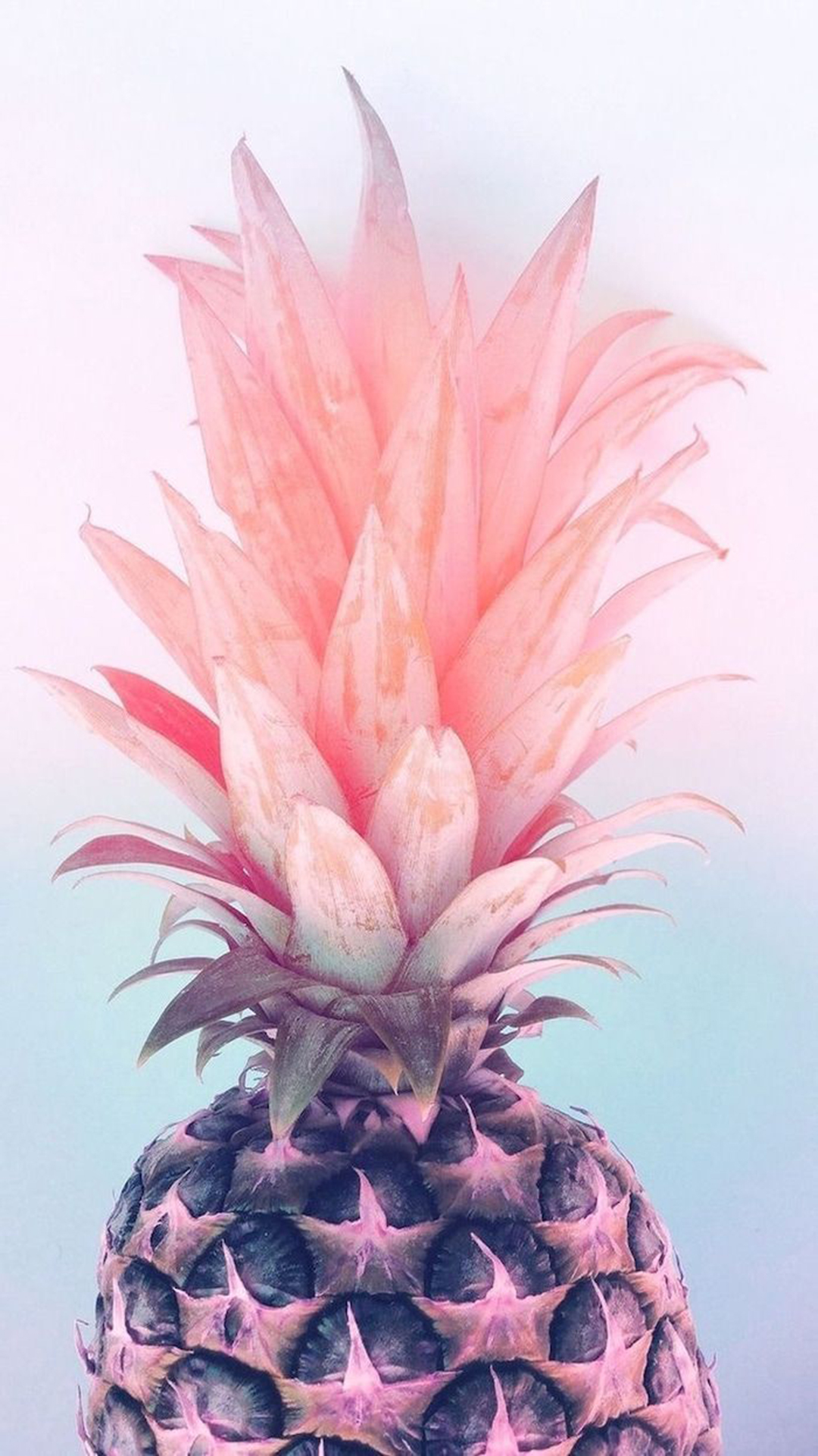 Pineapple Hd Wallpapers